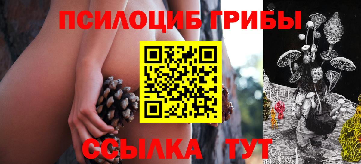Псилоцибиновые грибы Psilocybine cubensis Великий Новгород