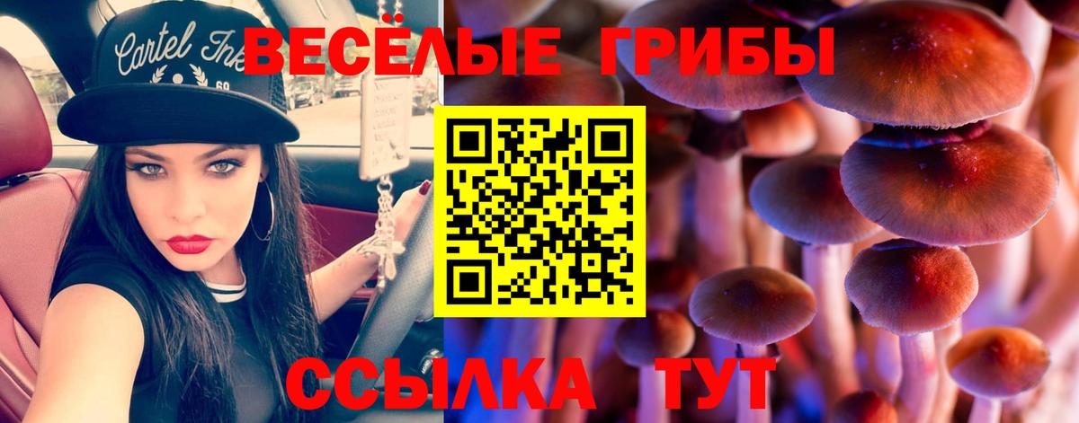 Великий Новгород  Галлюциногенные грибы мицелий  Вход с VPN  Псилоцибиновые грибы прущие грибы 